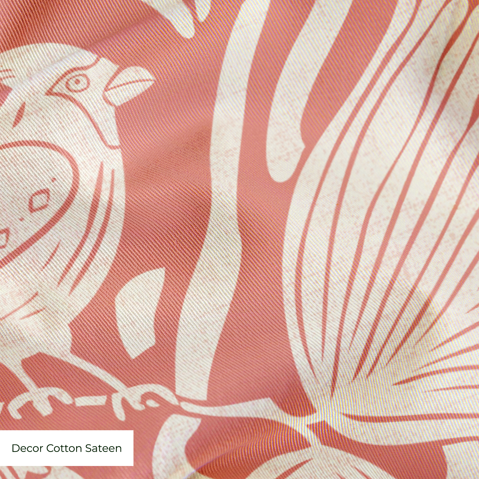  cohort1 cottonsateen texture