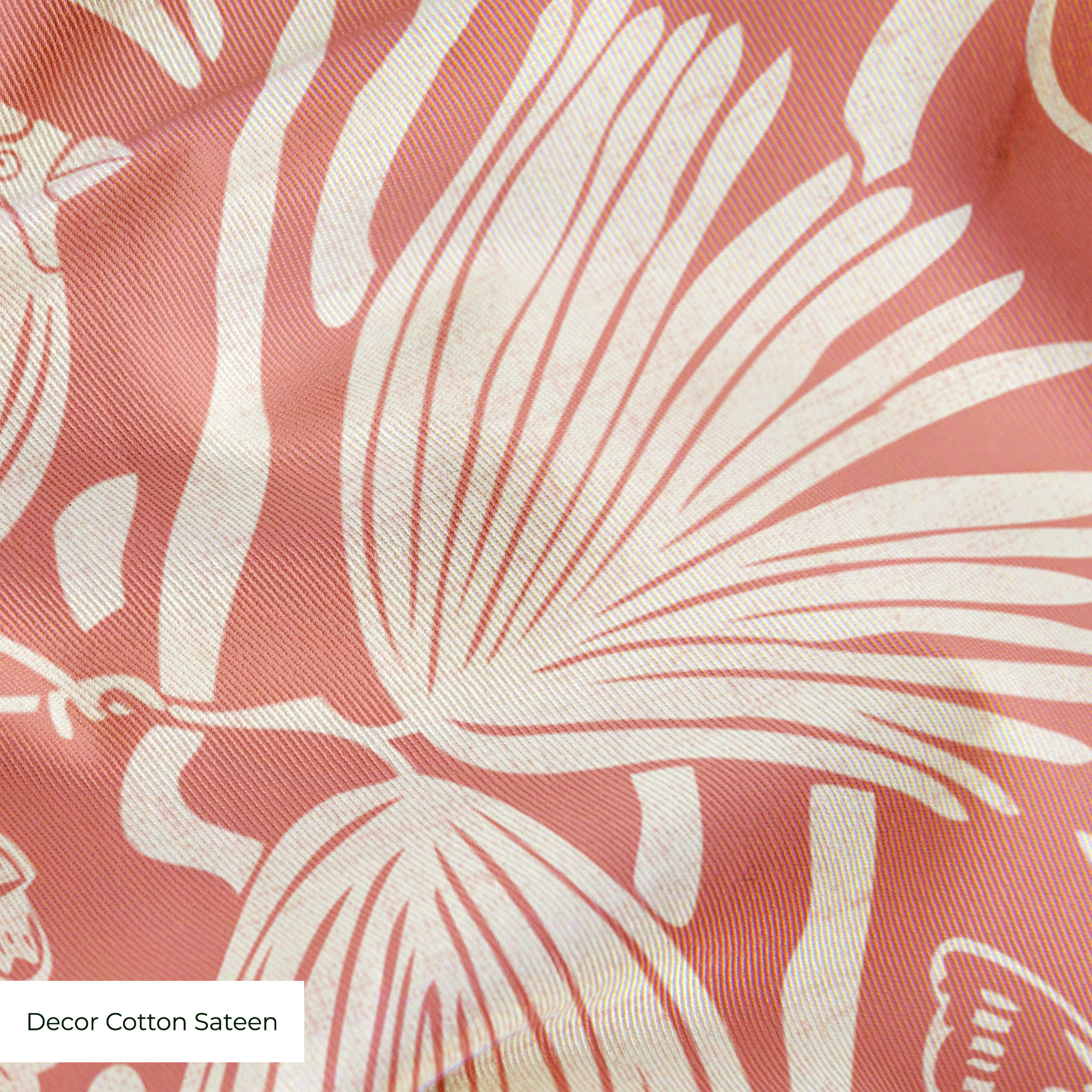  cohort1 cottonsateen texture