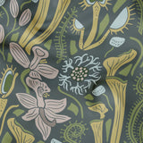 cohort1 decorsateen ripple