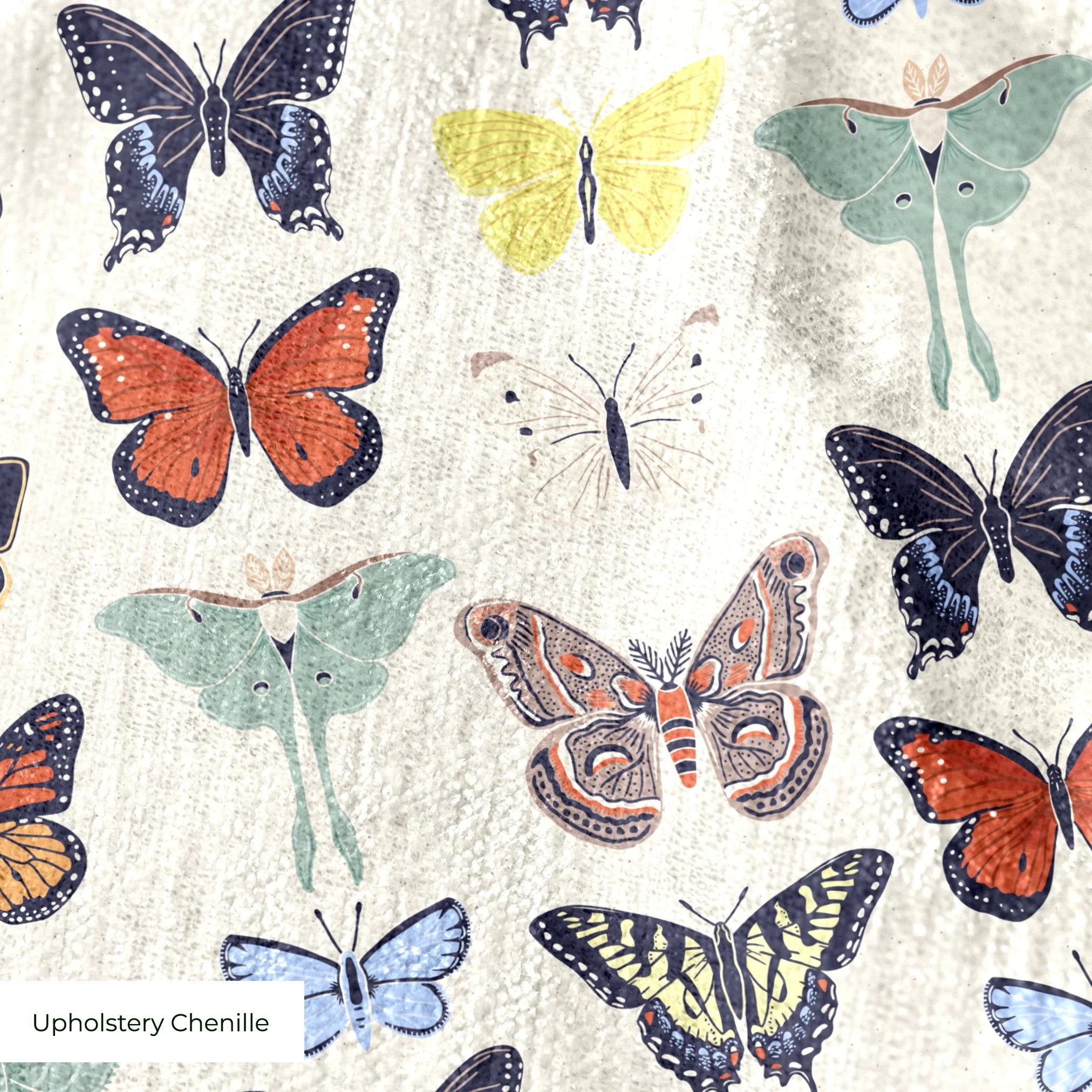  cohort1 upholsterychenille texture