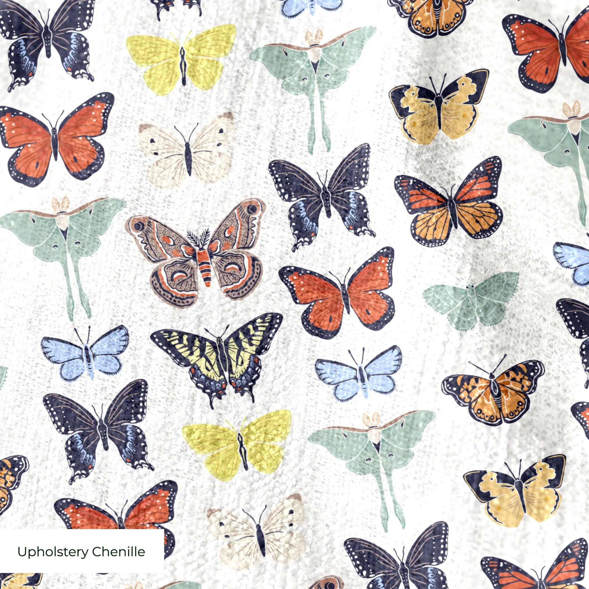  cohort1 upholsterychenille texture