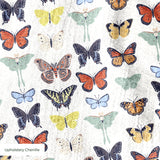  cohort1 upholsterychenille texture