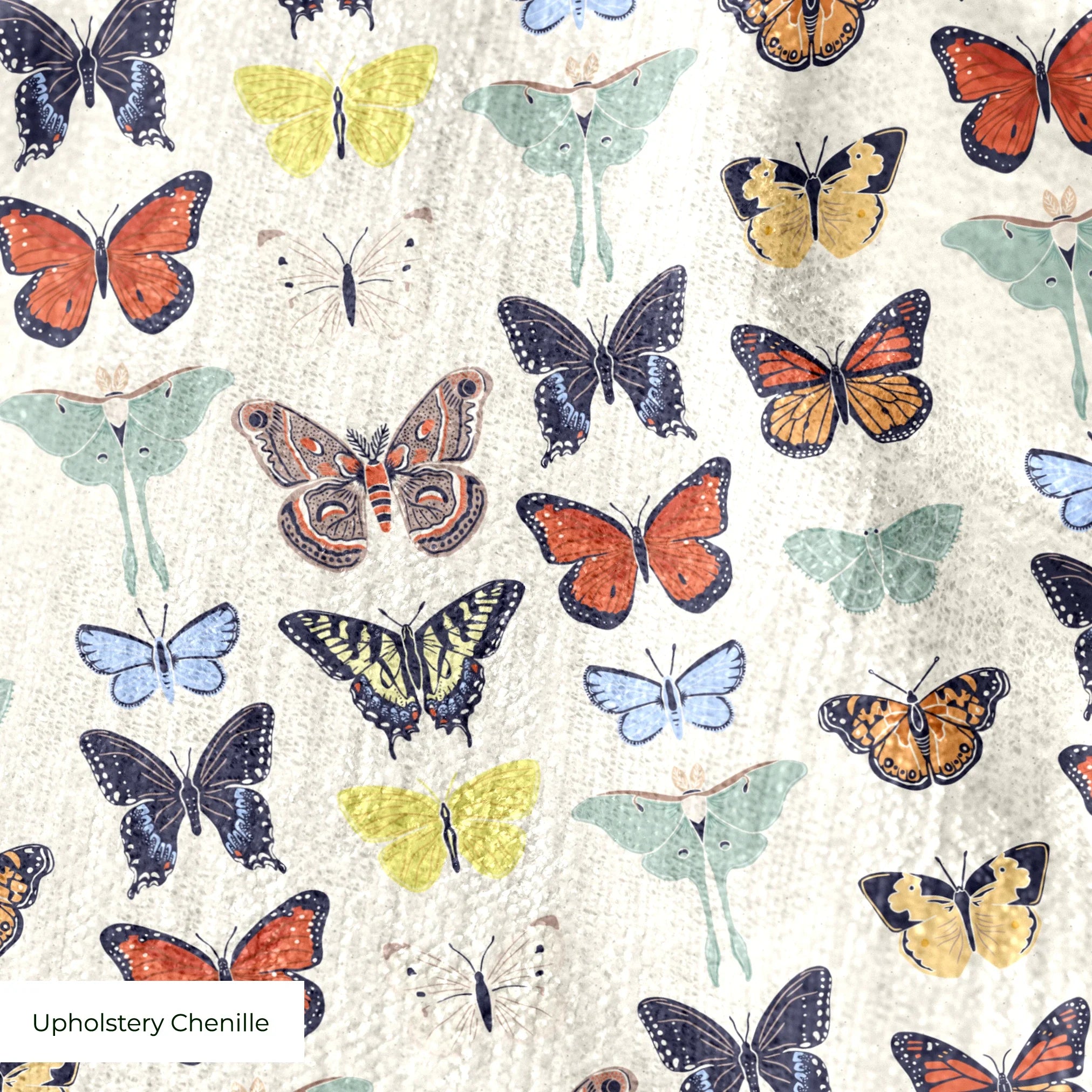  cohort1 upholsterychenille texture