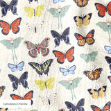  cohort1 upholsterychenille texture