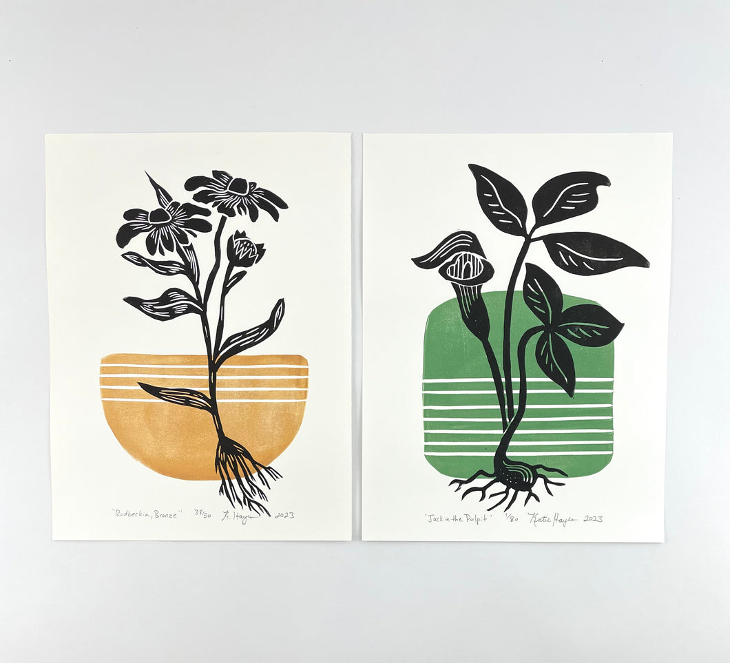 Set of two, Mid-century Black eyed Susan and jack in the pulpit with option for 12x16 matboard