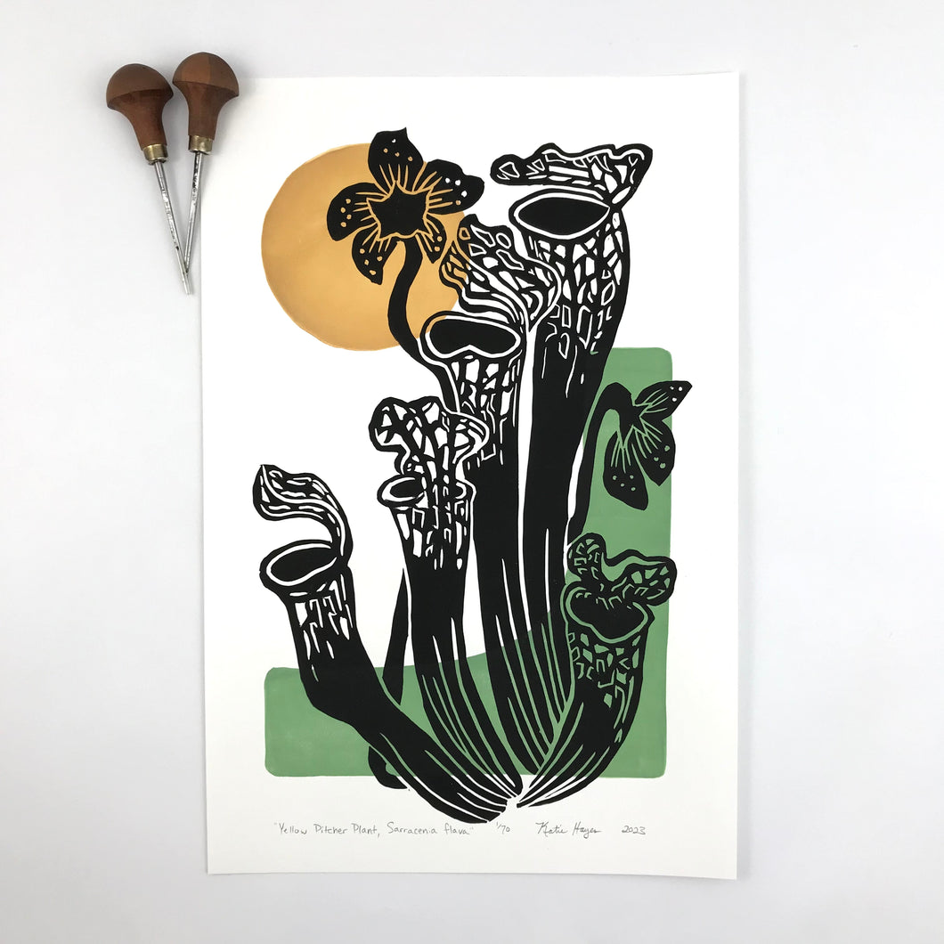 Pitcher Plant, Mid Century Botanical full color block print with