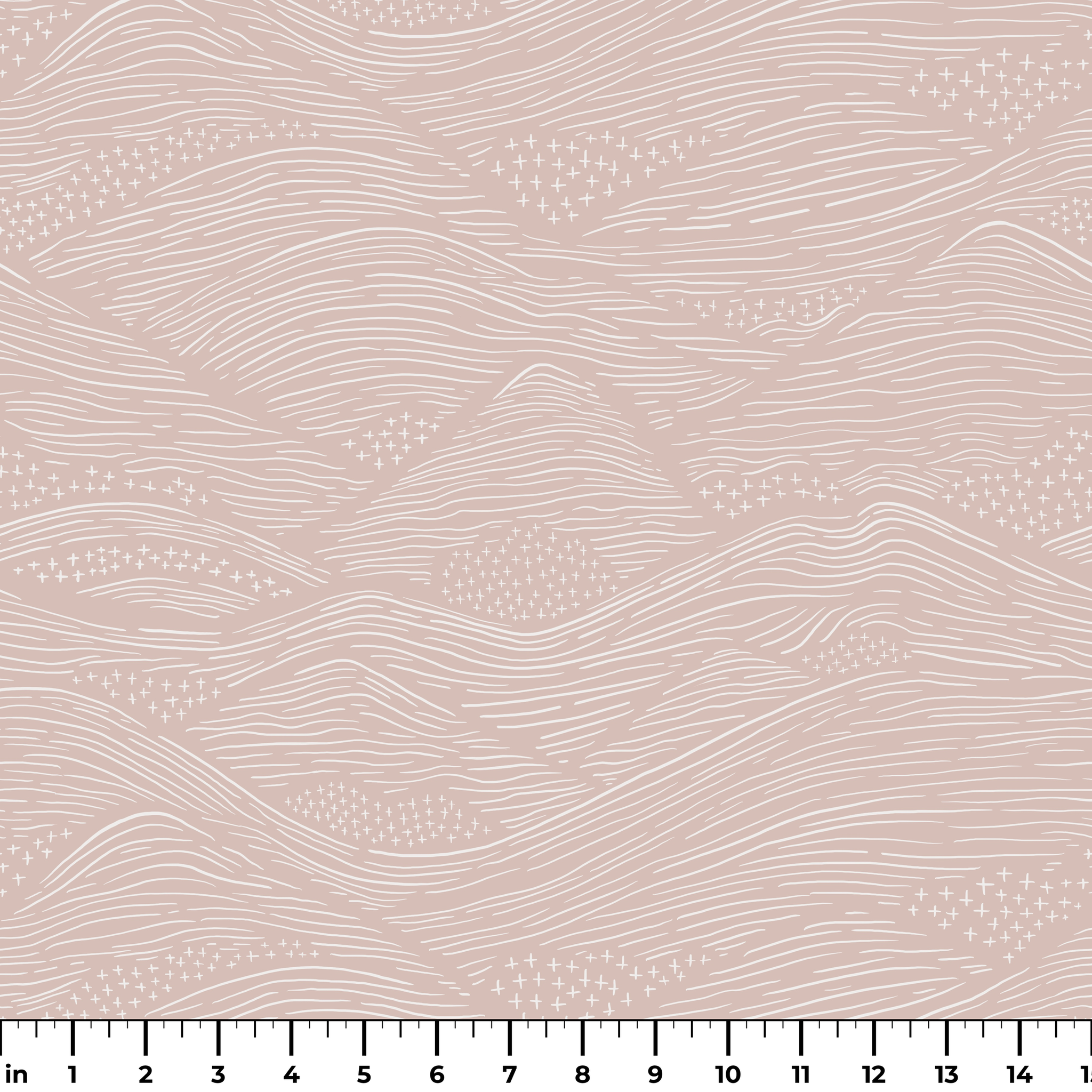  ruler