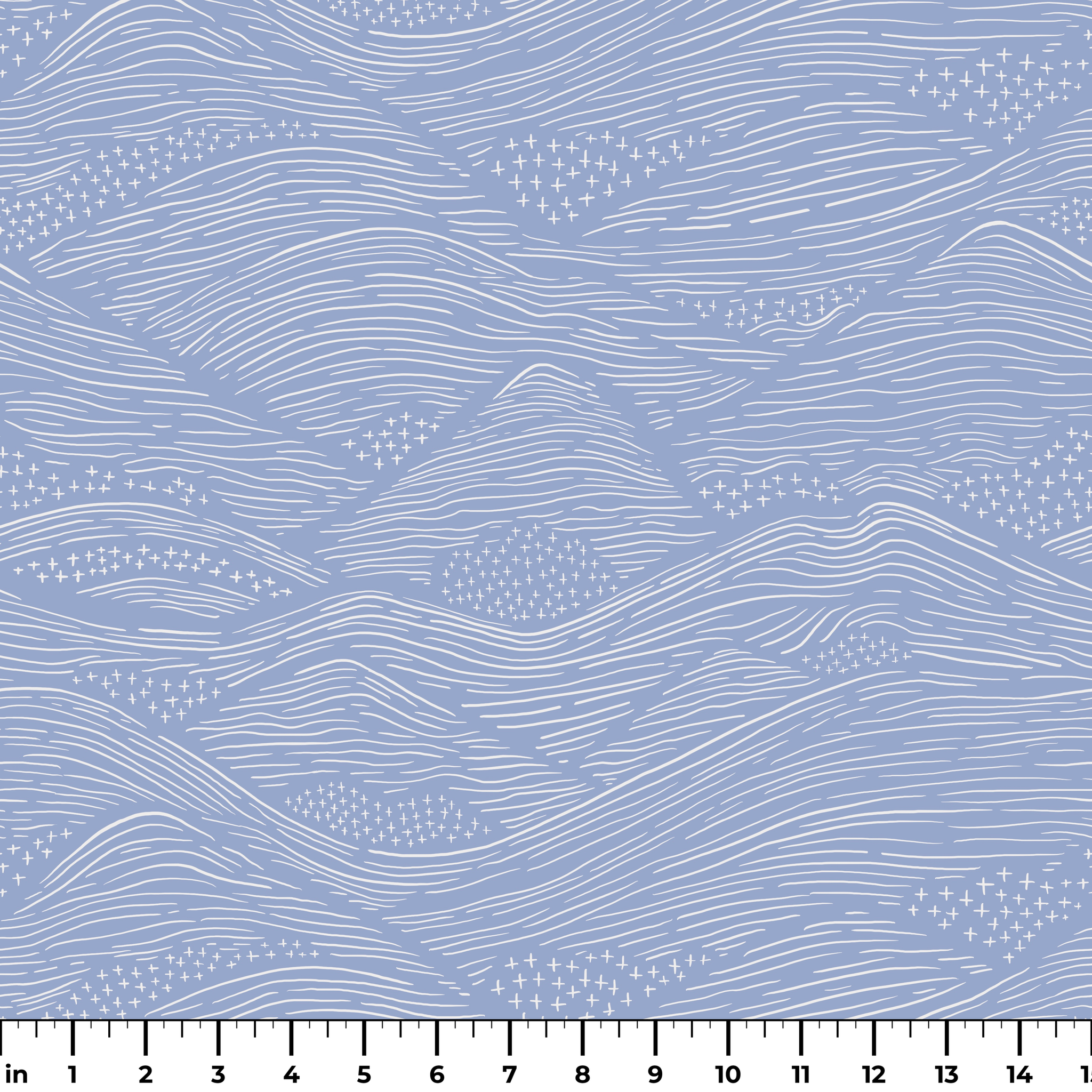  ruler