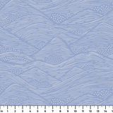  ruler