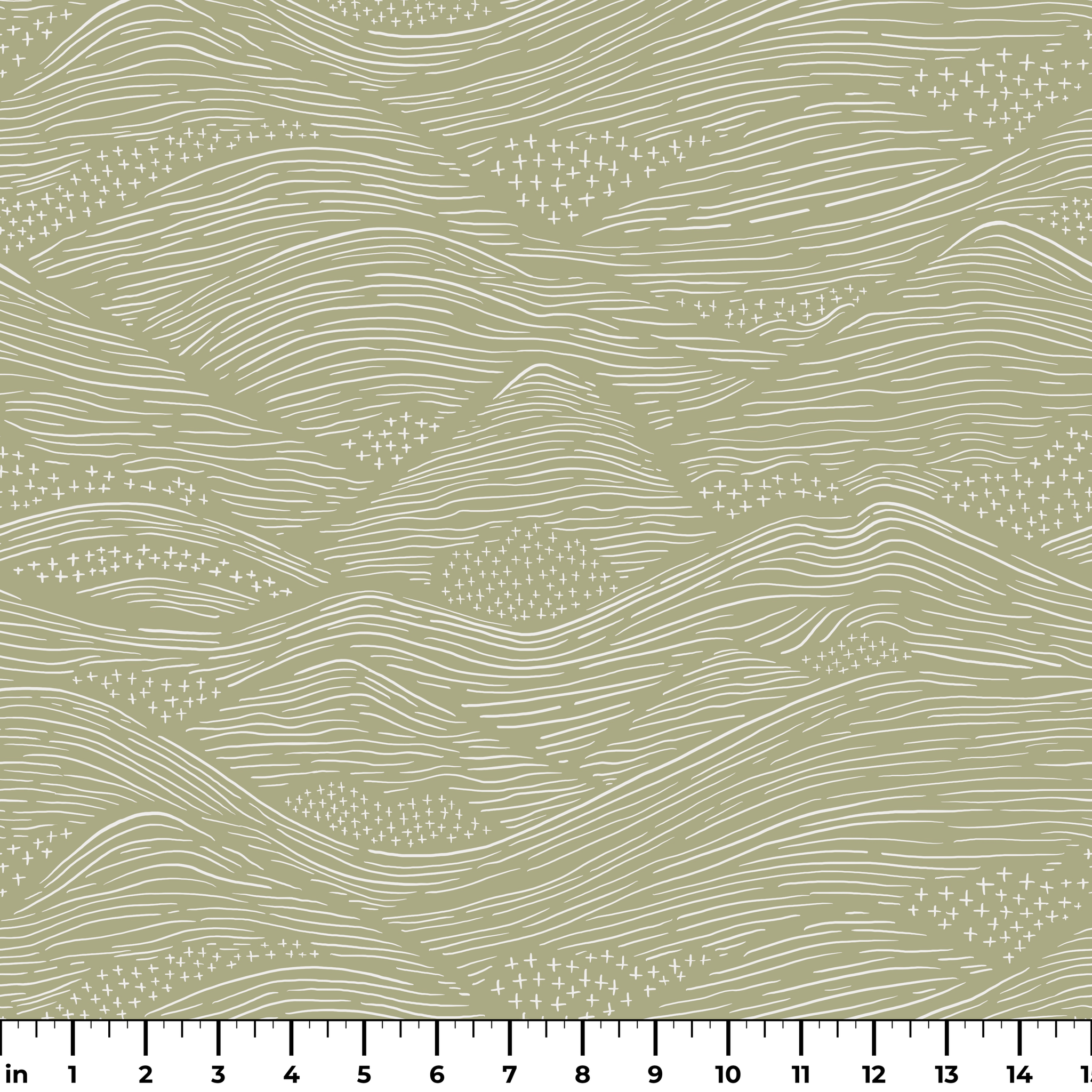  ruler