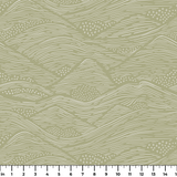  ruler