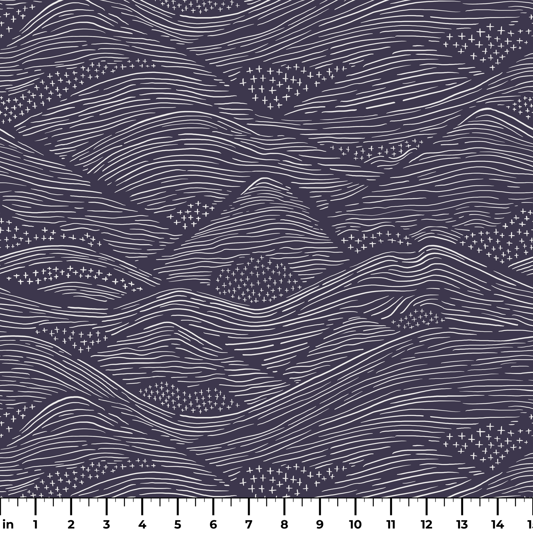  ruler