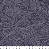  ruler