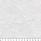  ruler