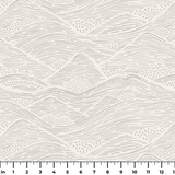  ruler