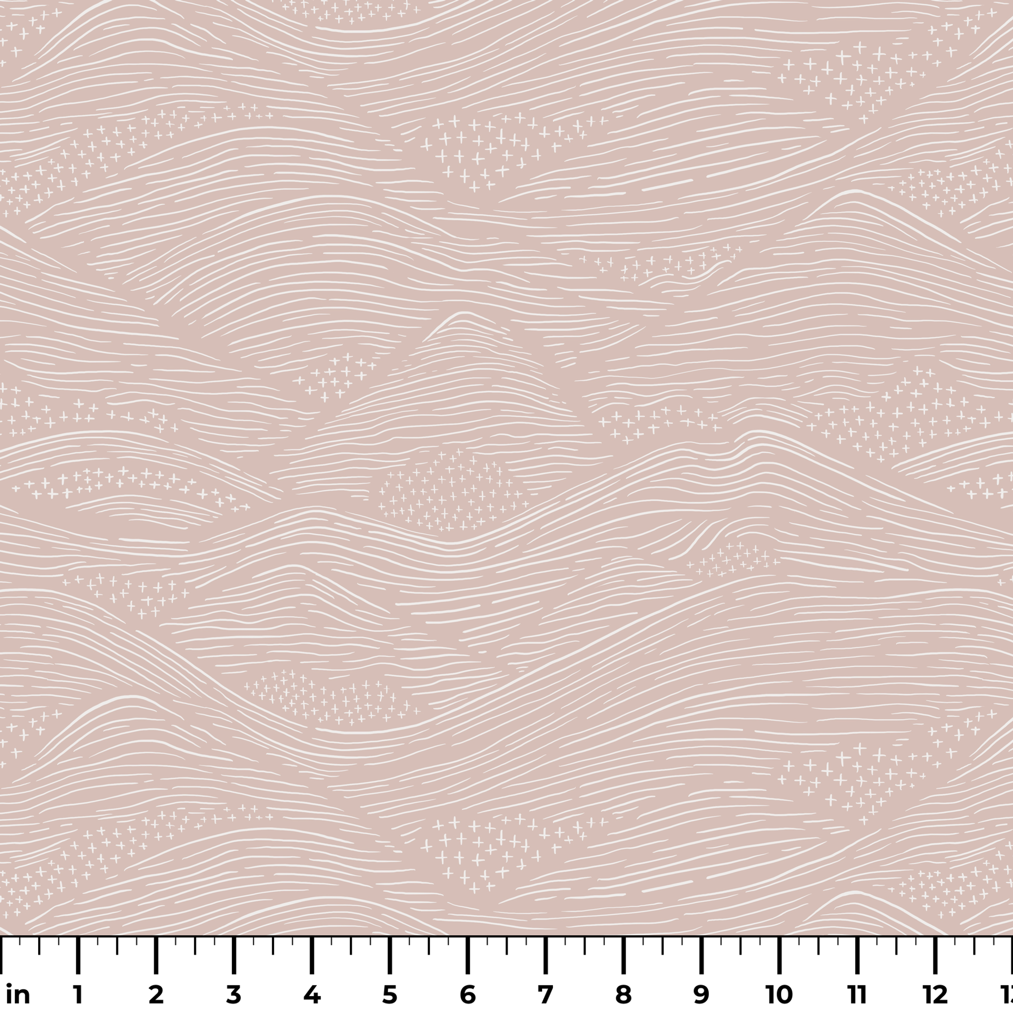  ruler