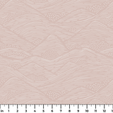  ruler