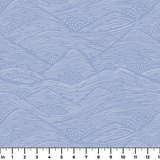  ruler