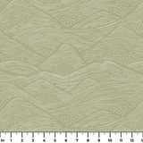  ruler