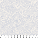  ruler