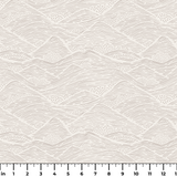  ruler
