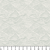  ruler