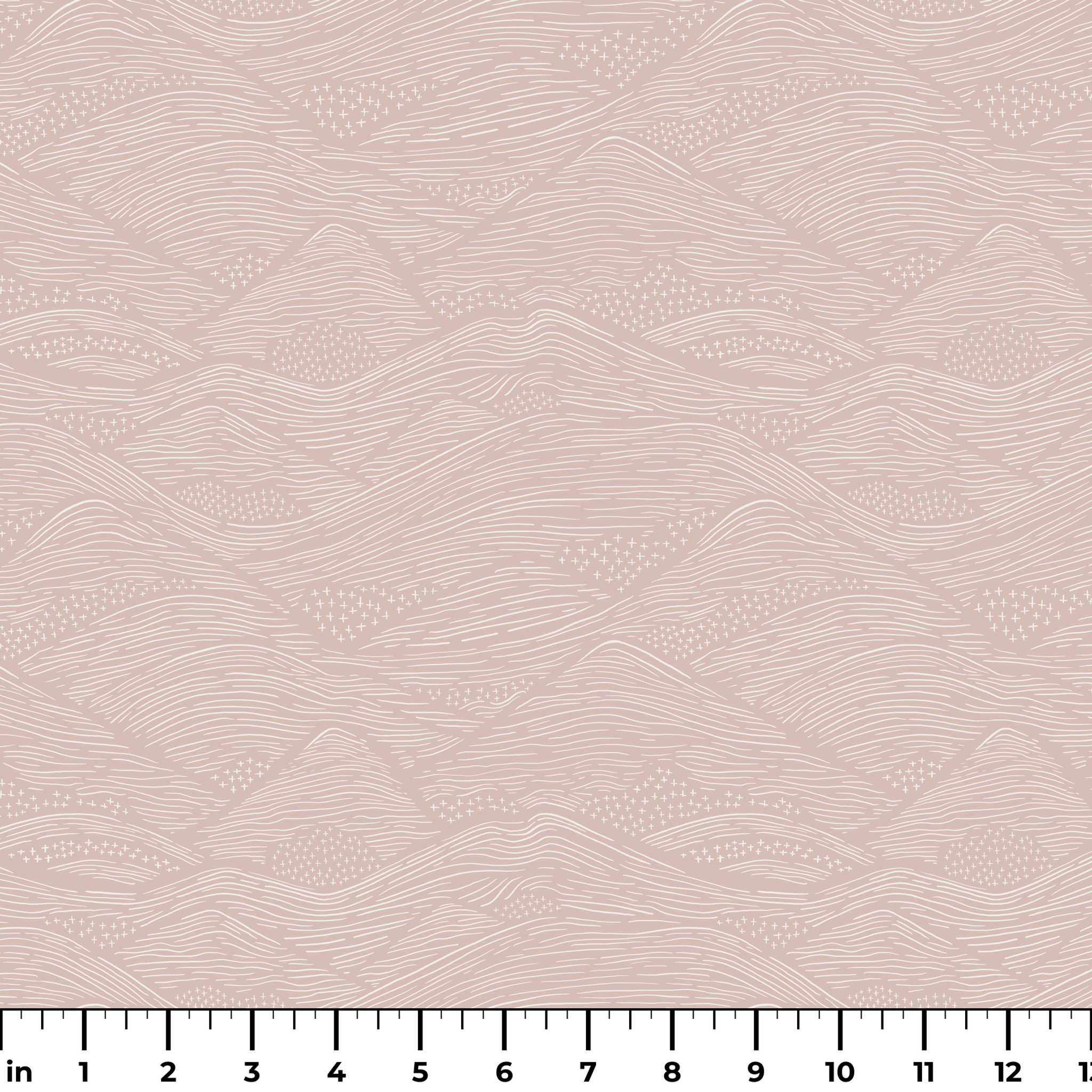  ruler