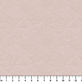  ruler