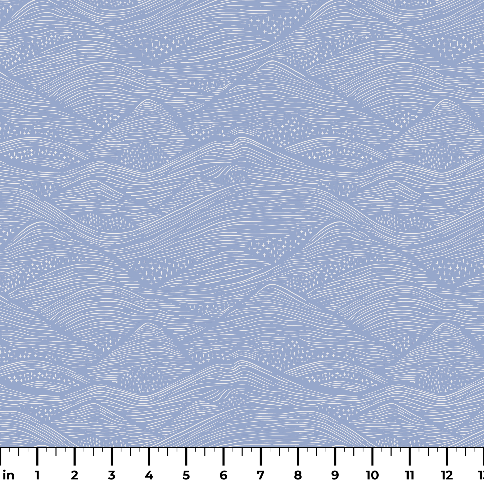  ruler