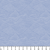  ruler