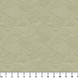  ruler
