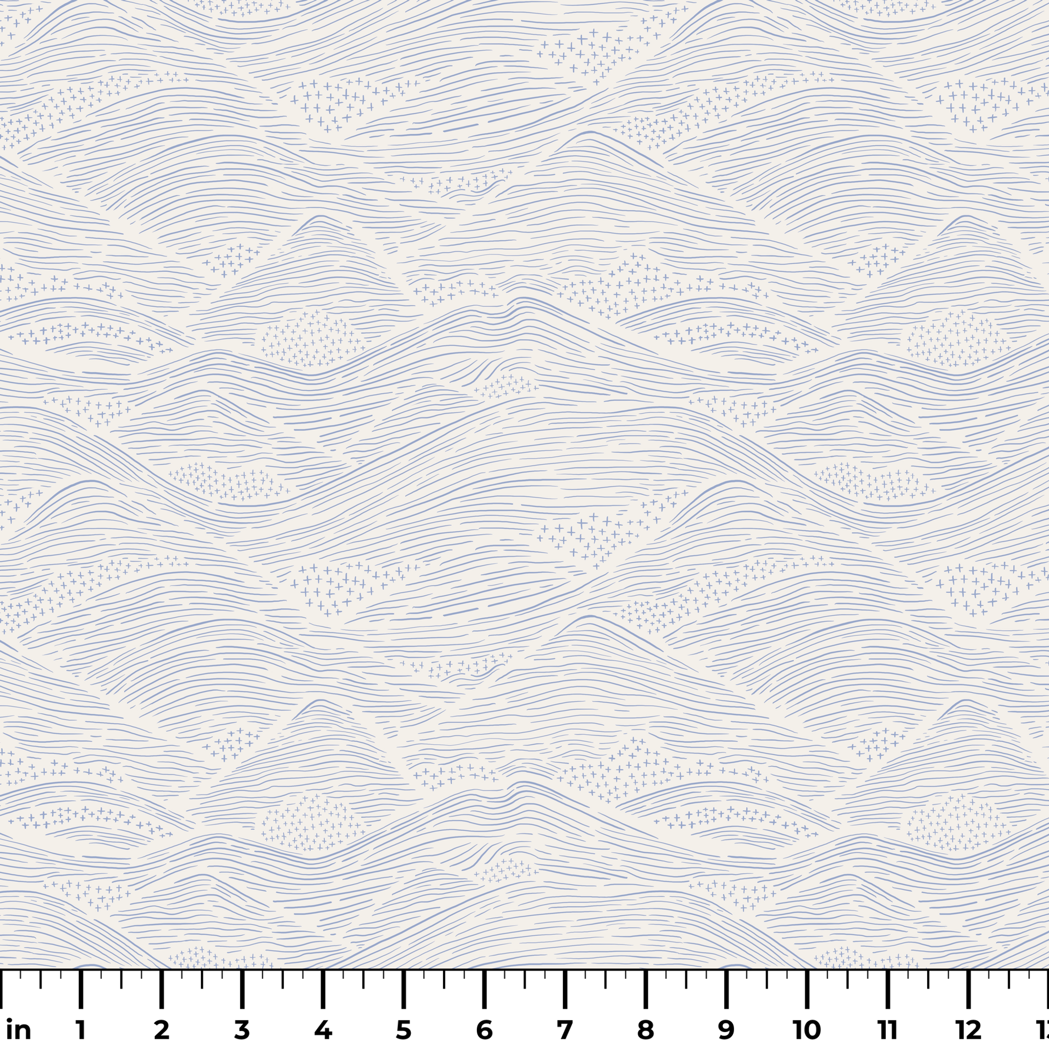  ruler