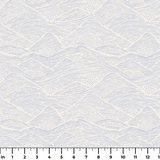  ruler