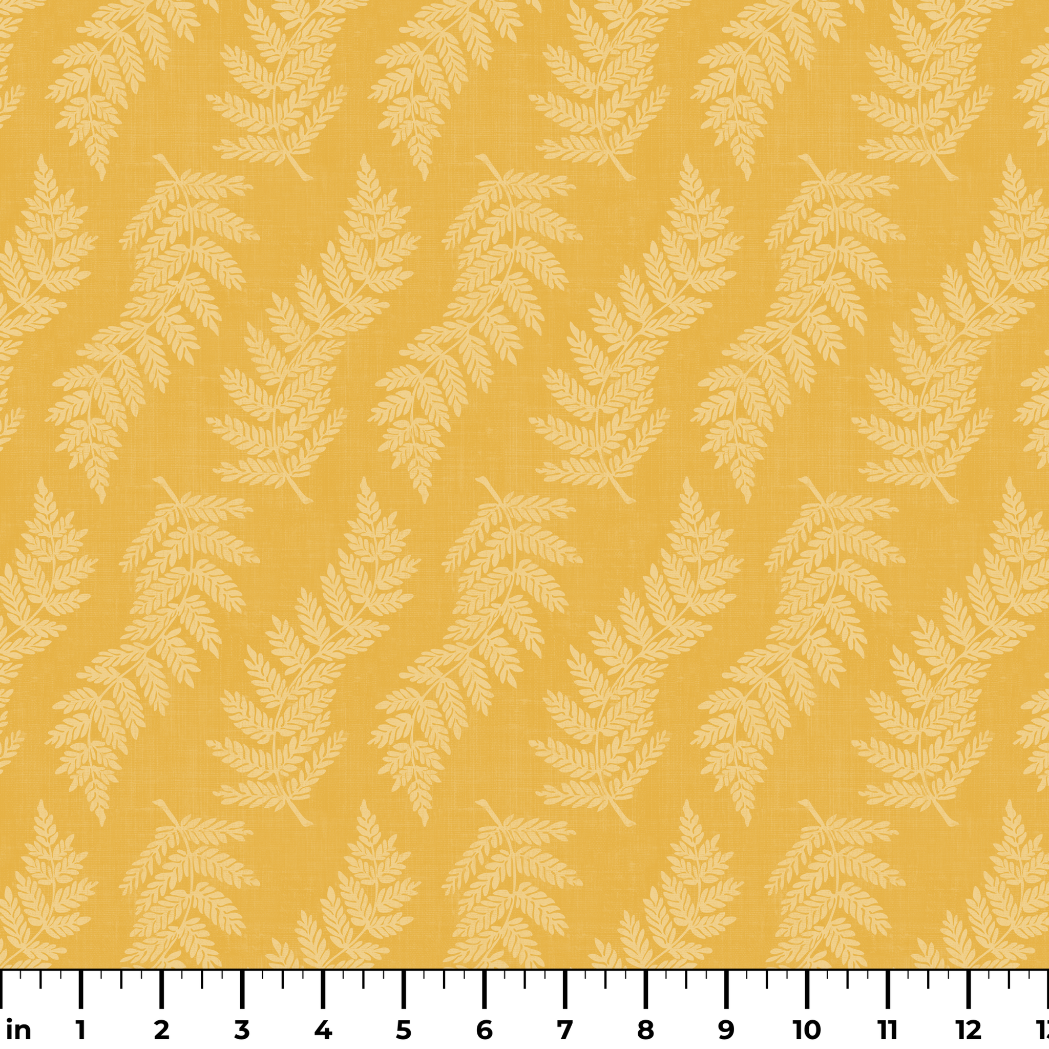  ruler