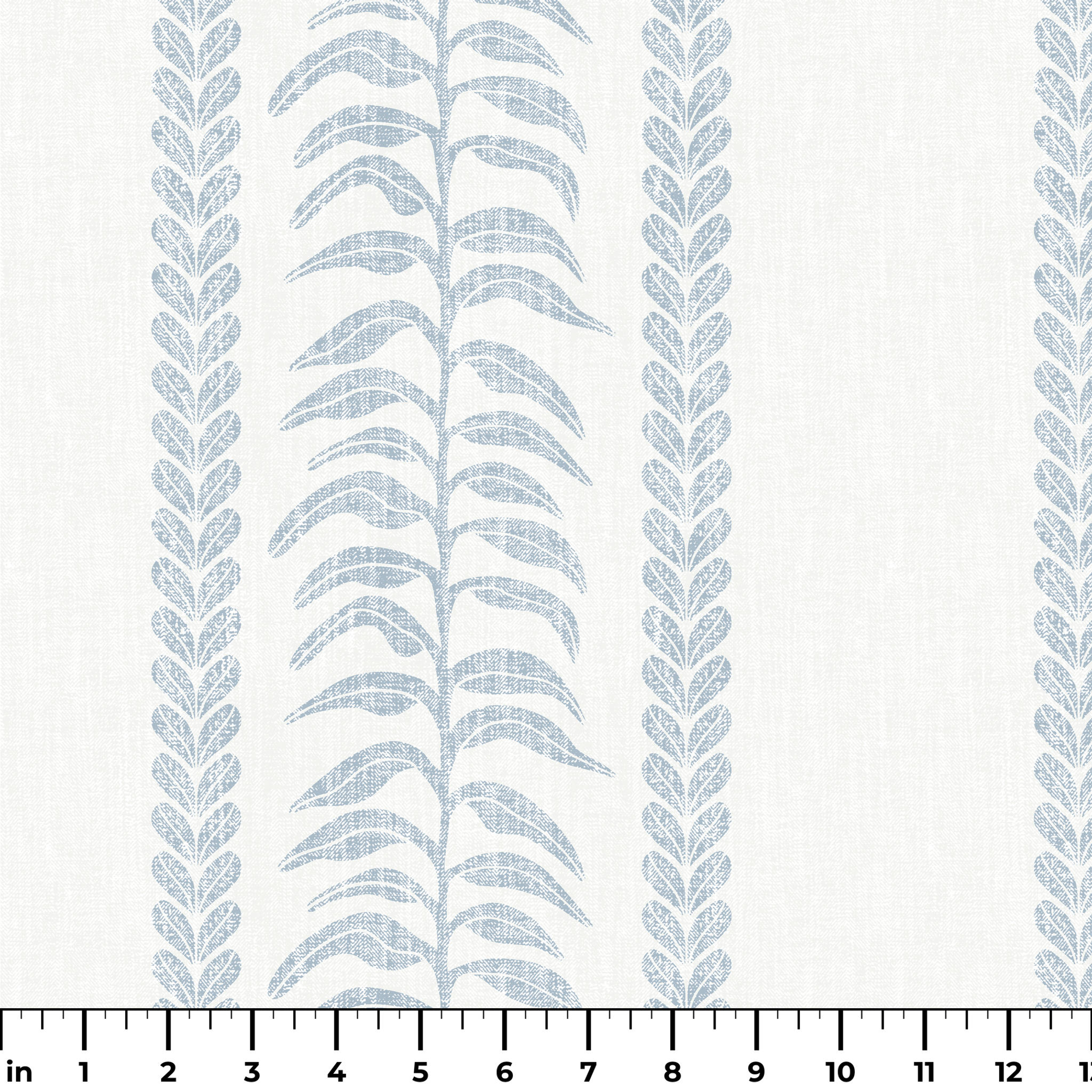  ruler