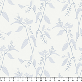  ruler