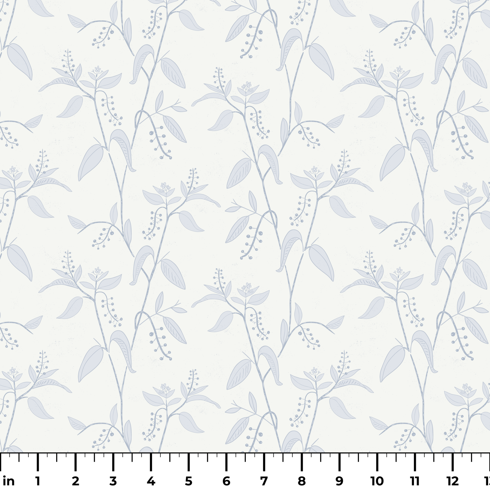  ruler