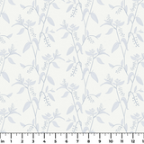  ruler