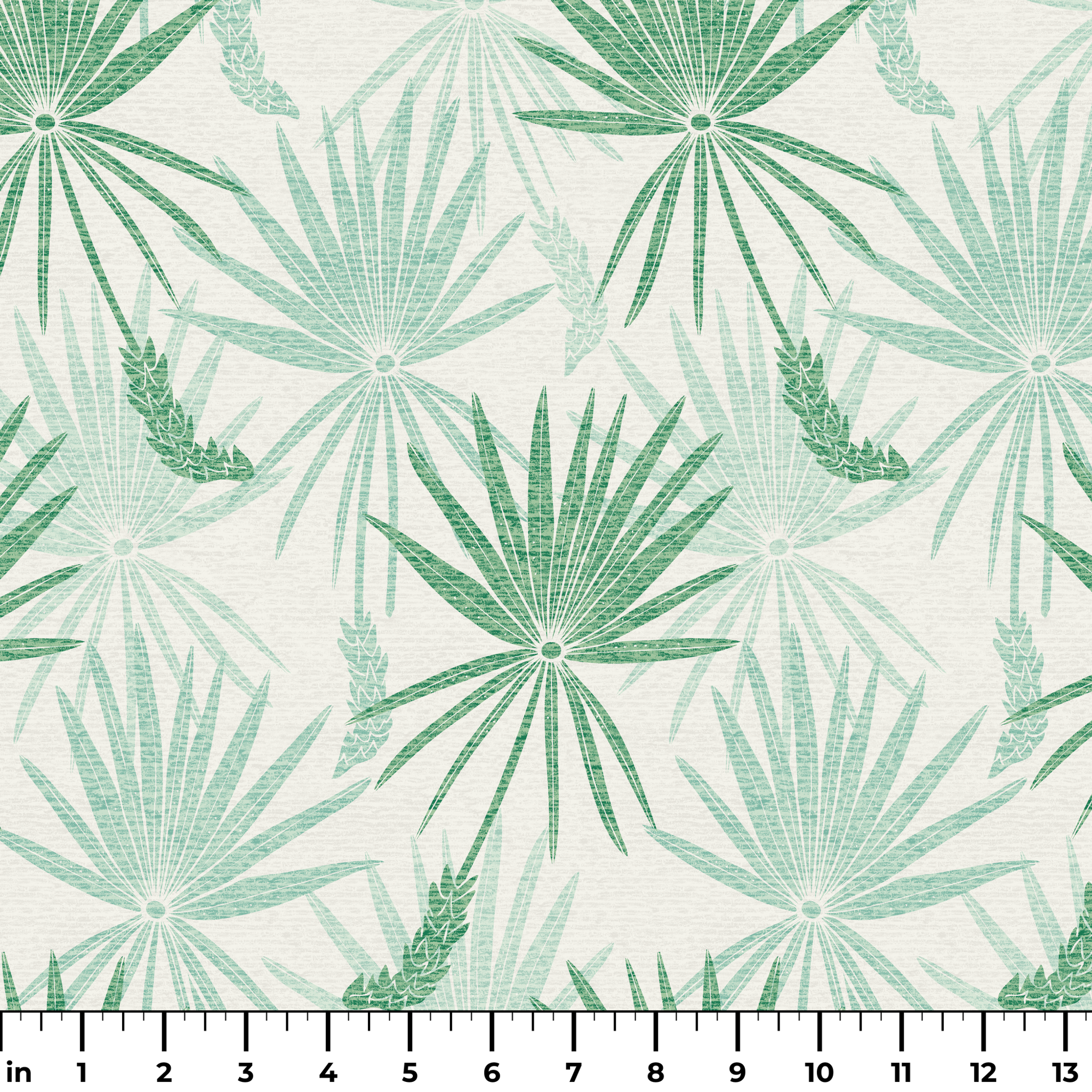  ruler