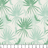  ruler