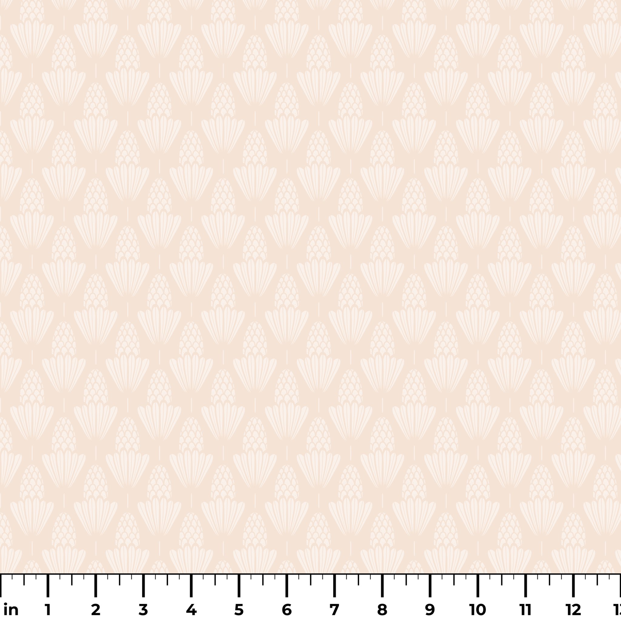  ruler