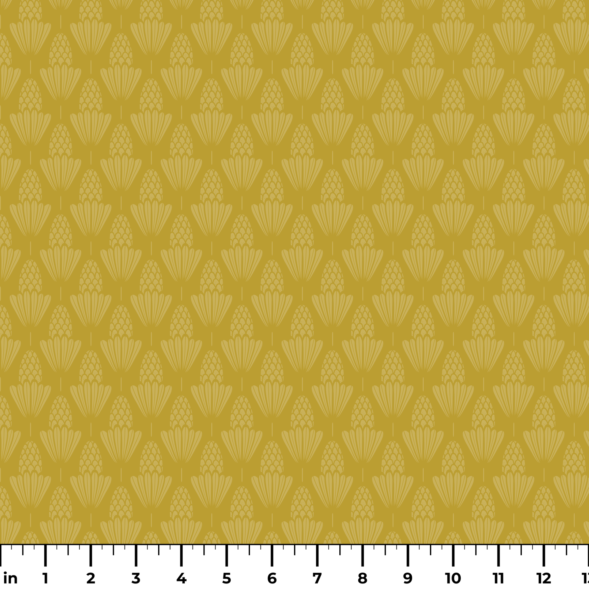  ruler