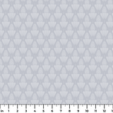  ruler
