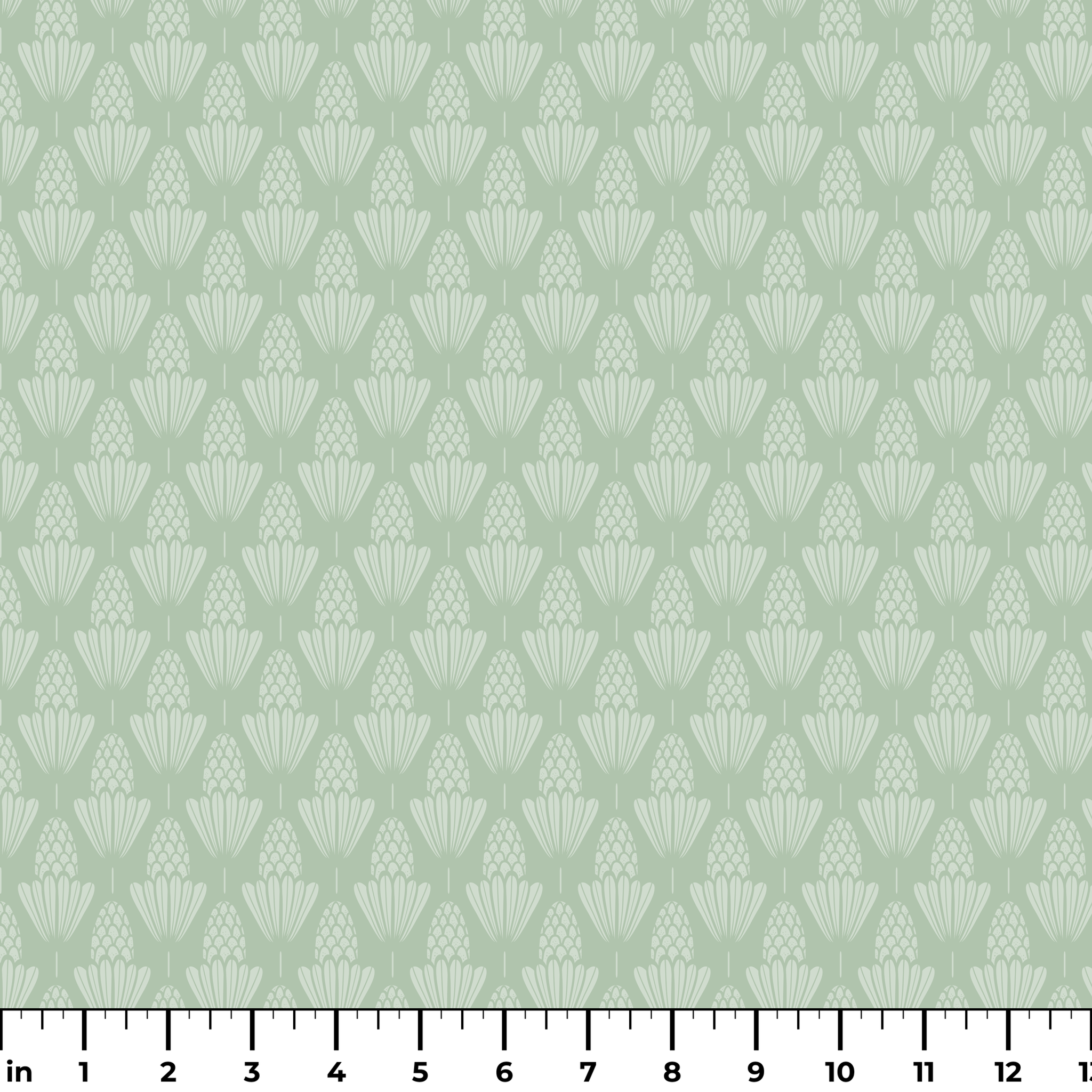  ruler
