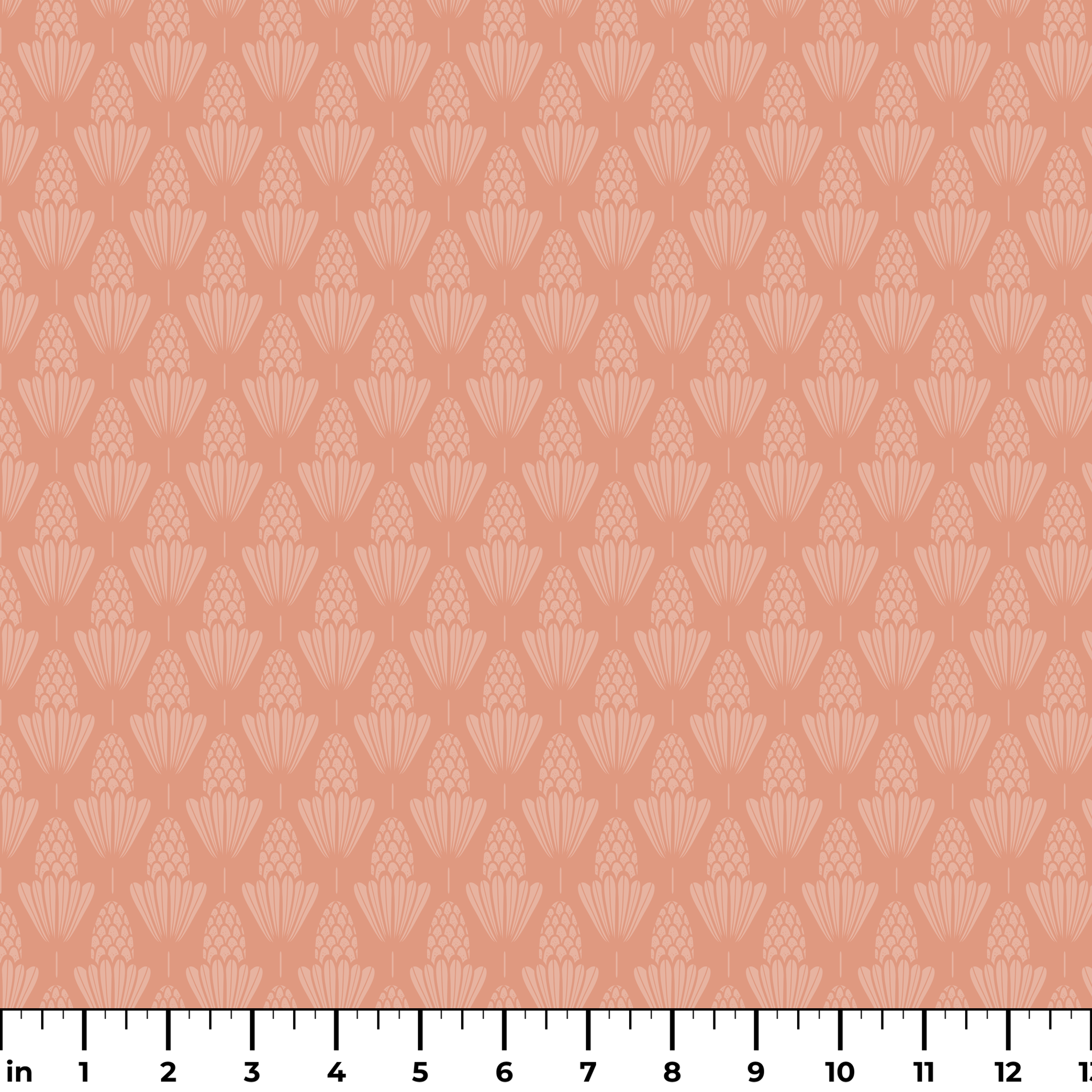 ruler