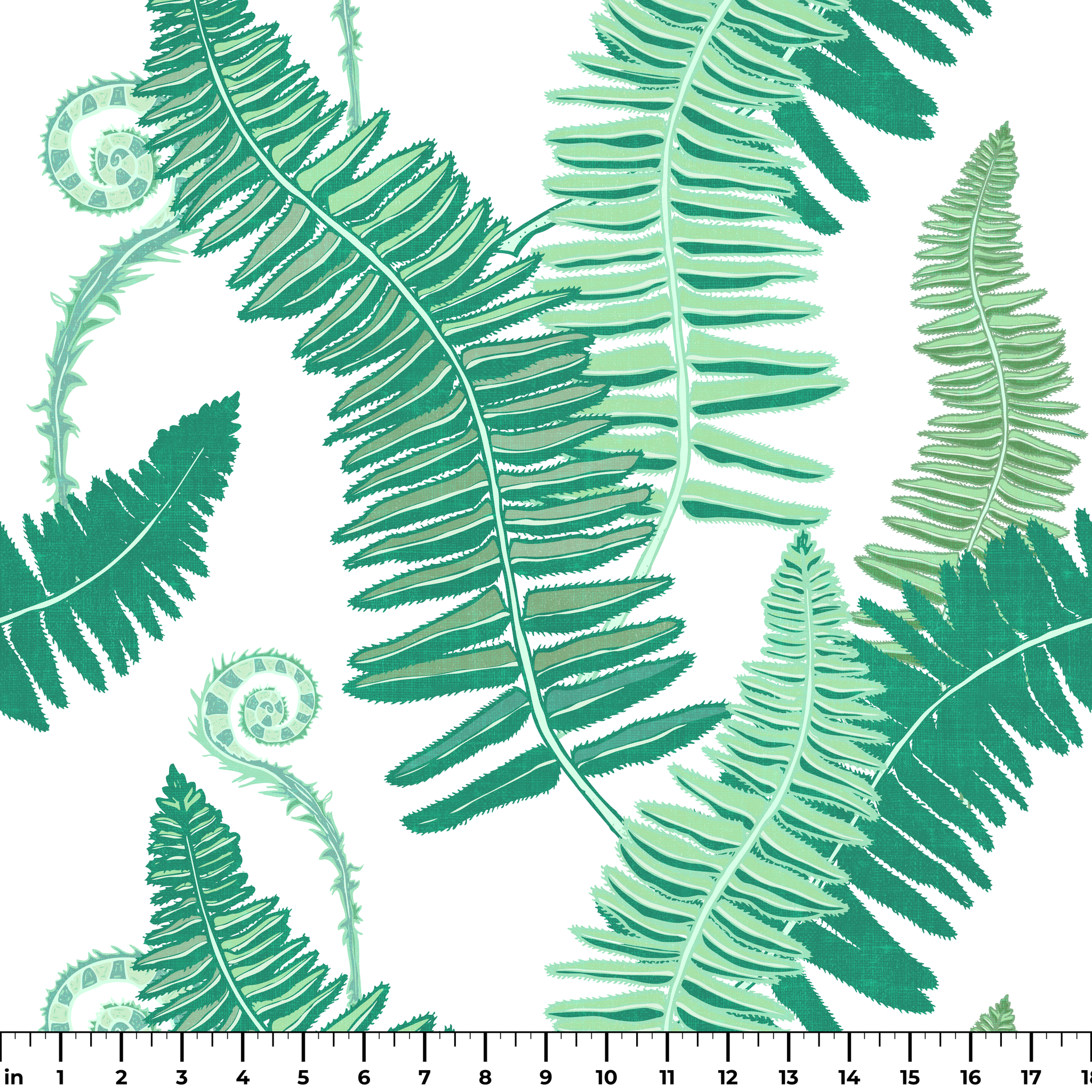  ruler