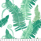  ruler