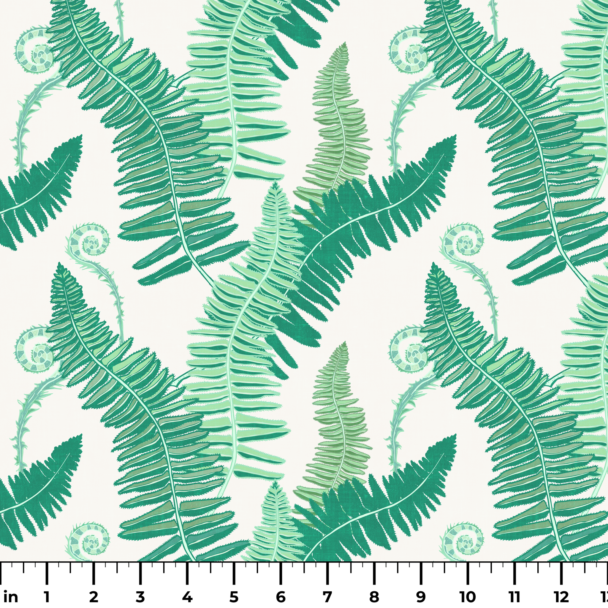  ruler