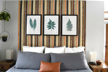 Load image into Gallery viewer, Set of 3 Native Southeastern Ferns, Limited Ed Block Prints, With 18x24 mat
