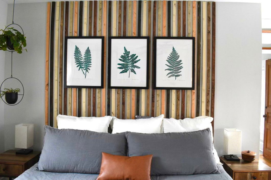 Set of 3 Native Southeastern Ferns, Limited Ed Block Prints, With 18x24 mat